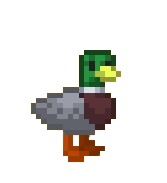 Duck Mascot